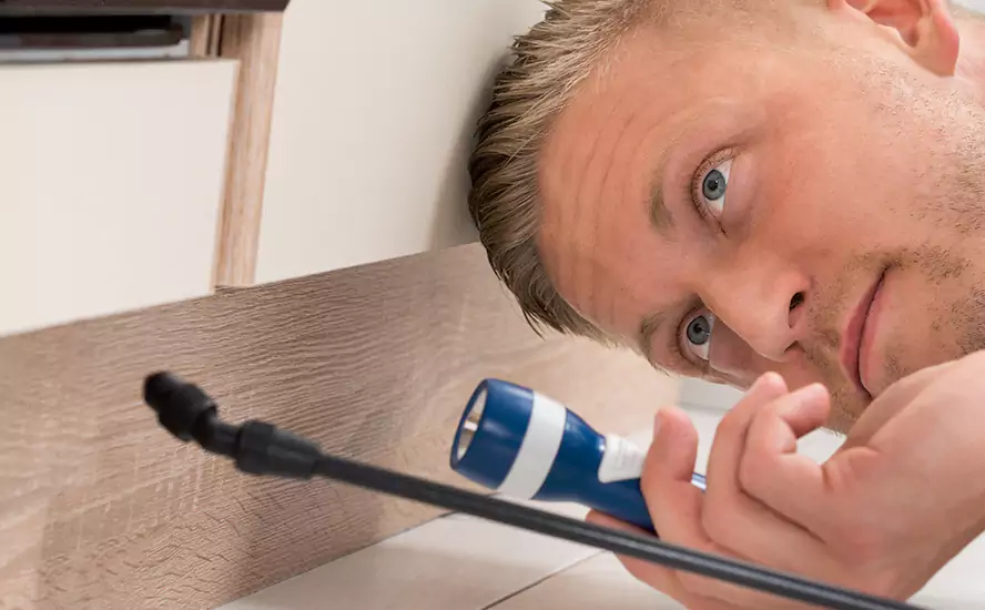 Top-Notch Pest Control in Garden Grove