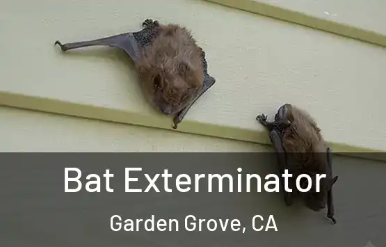  Bat Exterminator Garden Grove, CA