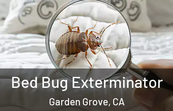  Bed Bug Exterminator Garden Grove, CA