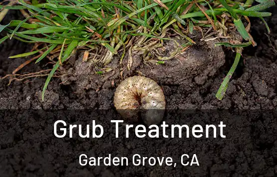  Grub Treatment Garden Grove, CA