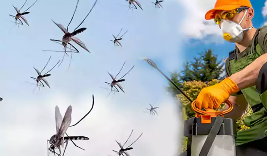 Mosquito Pest Control in Garden Grove, CA