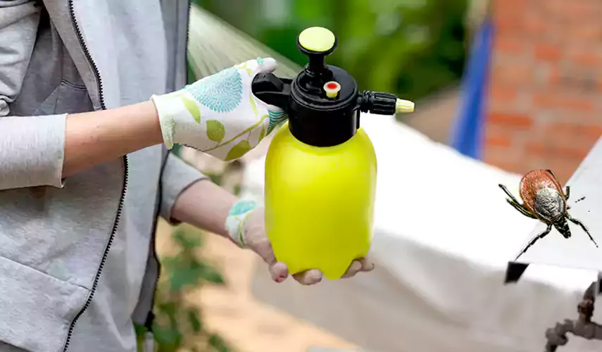 Ticks Pest Control Garden Grove, California