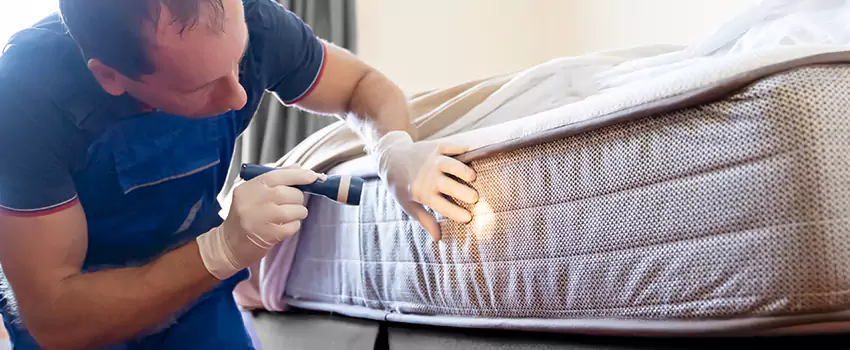 bed-bug-exterminator in Garden Grove, CA