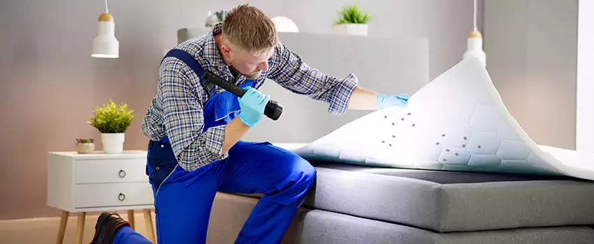 bed-bug-treatment in Garden Grove, CA