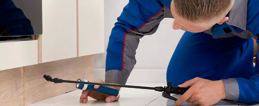 Ant Control for Bedrooms in Garden Grove, CA