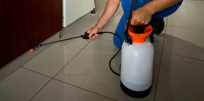 Commercial Pest Extermination for Offices in Garden Grove, CA