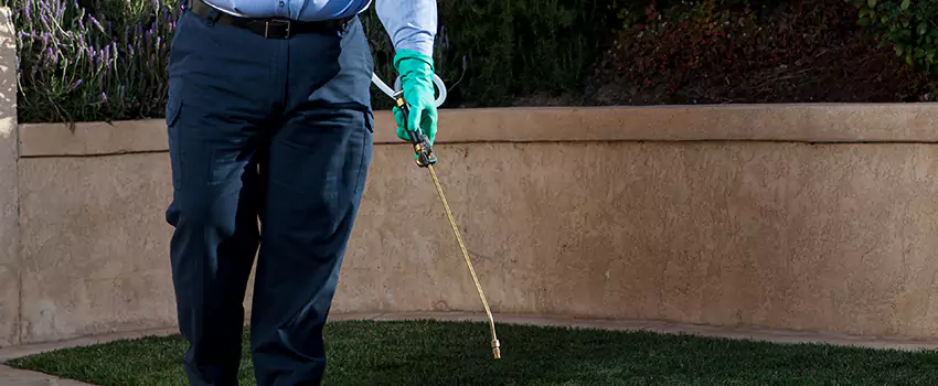 Emergency Pest Extermination for Children and Pets Garden Grove, CA