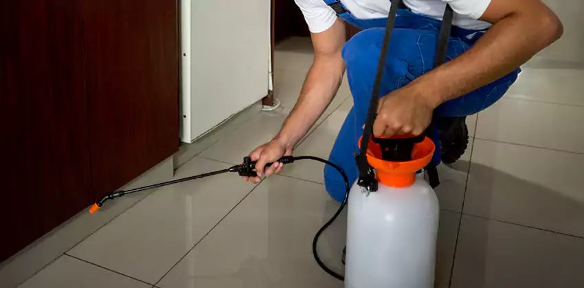 Commercial Flea Exterminator Company in Garden Grove, CA