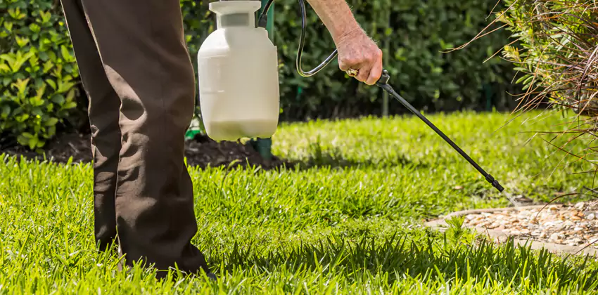 Grub Treatment for Bedrooms Garden Grove, CA
