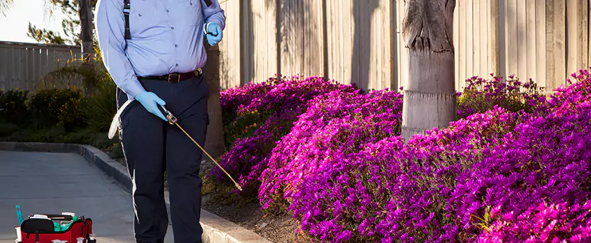 Commercial Mosquito Control Services in Garden Grove, CA