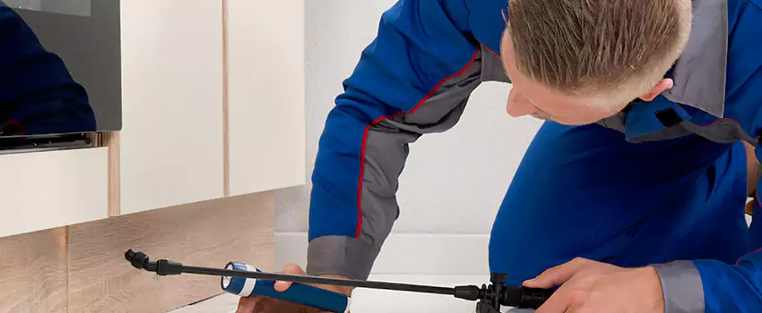 Termite Control for Children and Pets in Garden Grove, CA