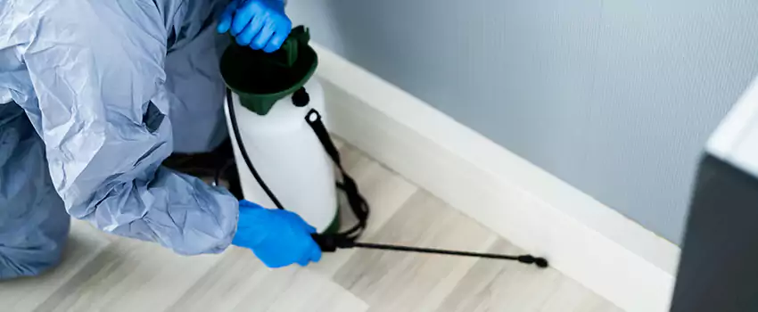 cockroach-exterminator in Garden Grove, CA