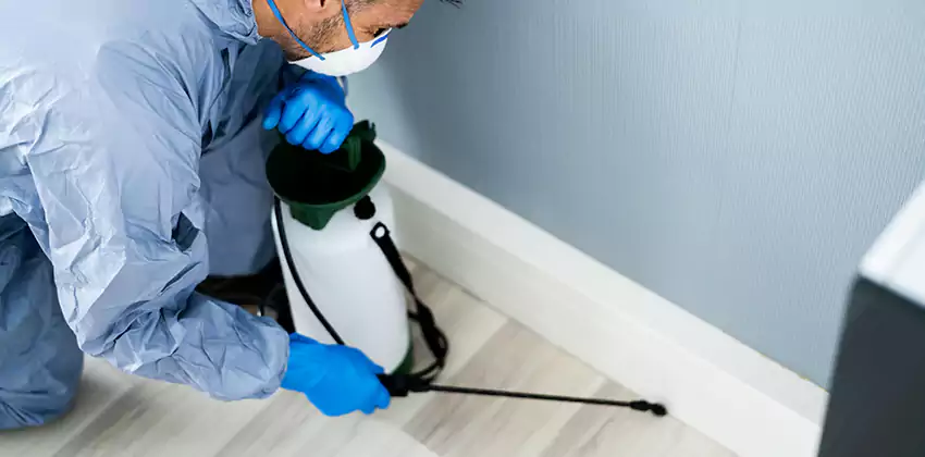 commercial-pest-exterminator in Garden Grove, CA