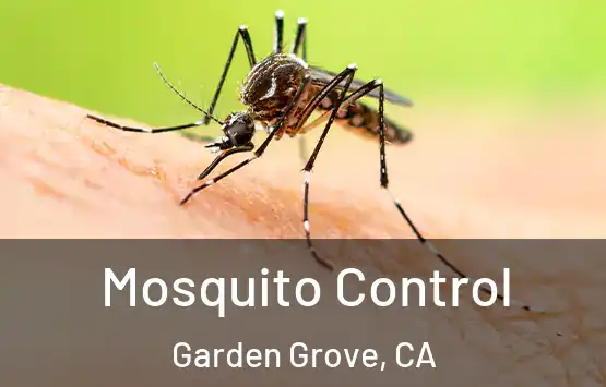  Mosquito Control Garden Grove, CA