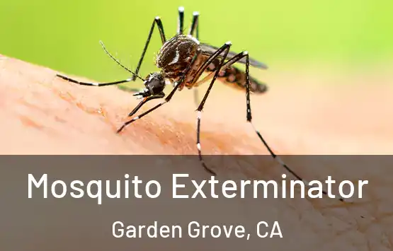  Mosquito Exterminator Garden Grove, CA
