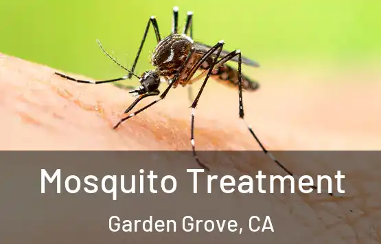  Mosquito Treatment Garden Grove, CA