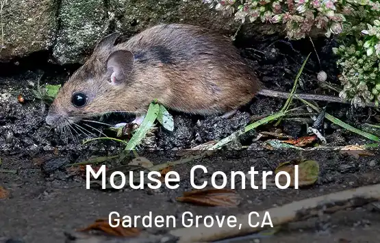  Mouse Control Garden Grove, CA