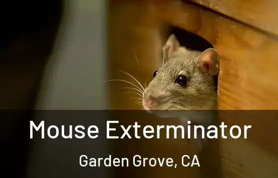  Mouse Exterminator Garden Grove, CA