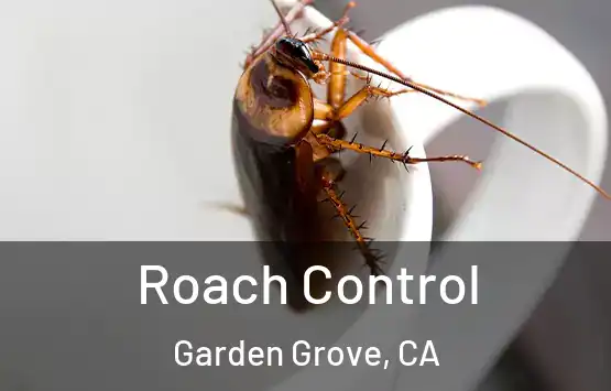  Roach Control Garden Grove, CA