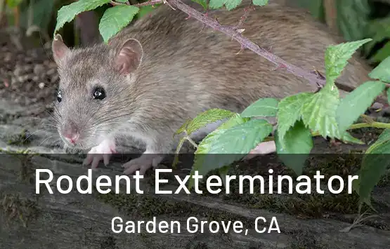  Rodent Exterminator Garden Grove, CA