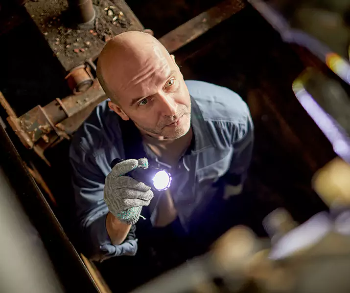 About Pest Inspection Garden Grove