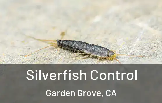  Silverfish Control Garden Grove, CA