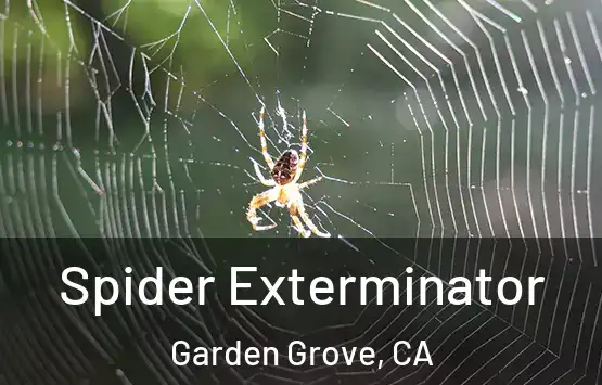  Spider Exterminator Garden Grove, CA