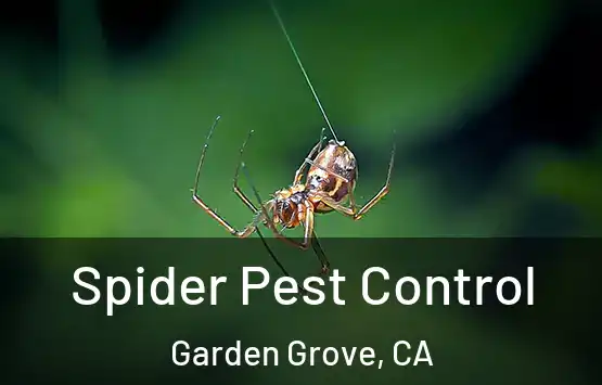  Spider Pest Control Garden Grove, CA