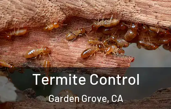  Termite Control Garden Grove, CA