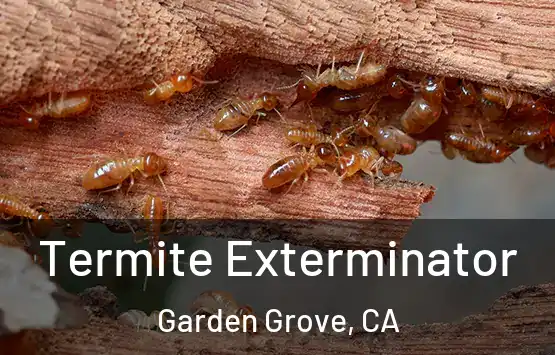  Termite Exterminator Garden Grove, CA