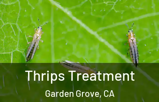  Thrips Treatment Garden Grove, CA