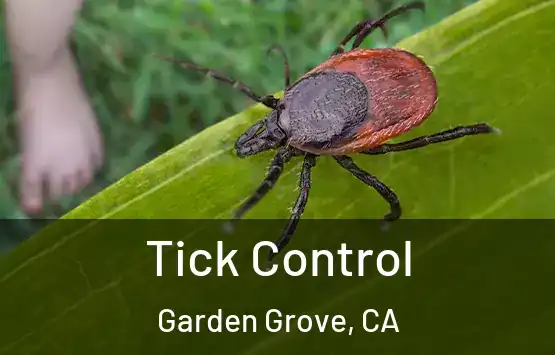  Tick Control Garden Grove, CA