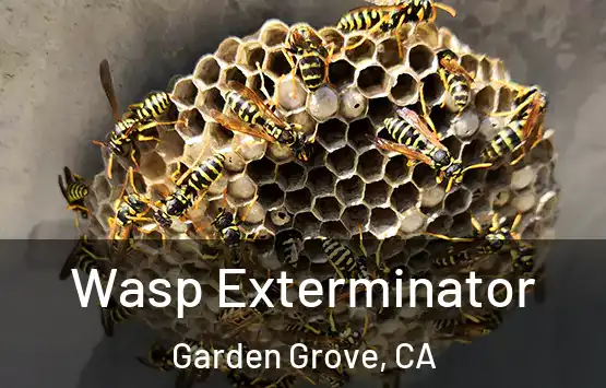  Wasp Exterminator Garden Grove, CA